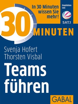 cover image of 30 Minuten Teams führen
